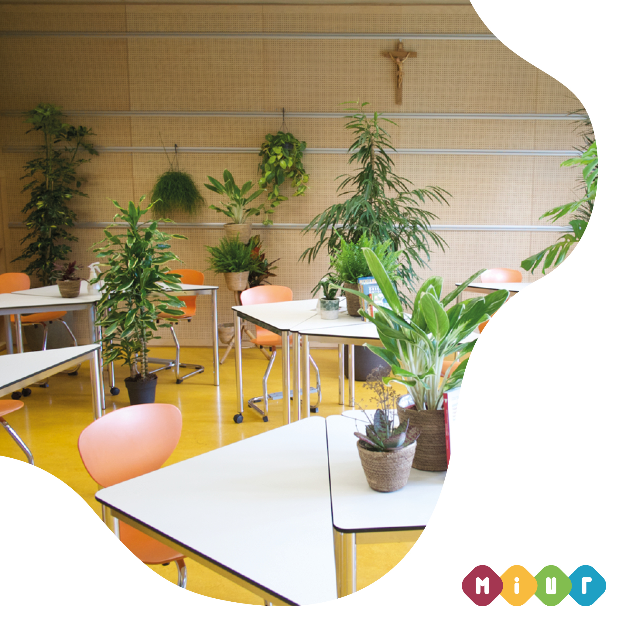 Sostenibilità e green lab alla Primaria (AS)