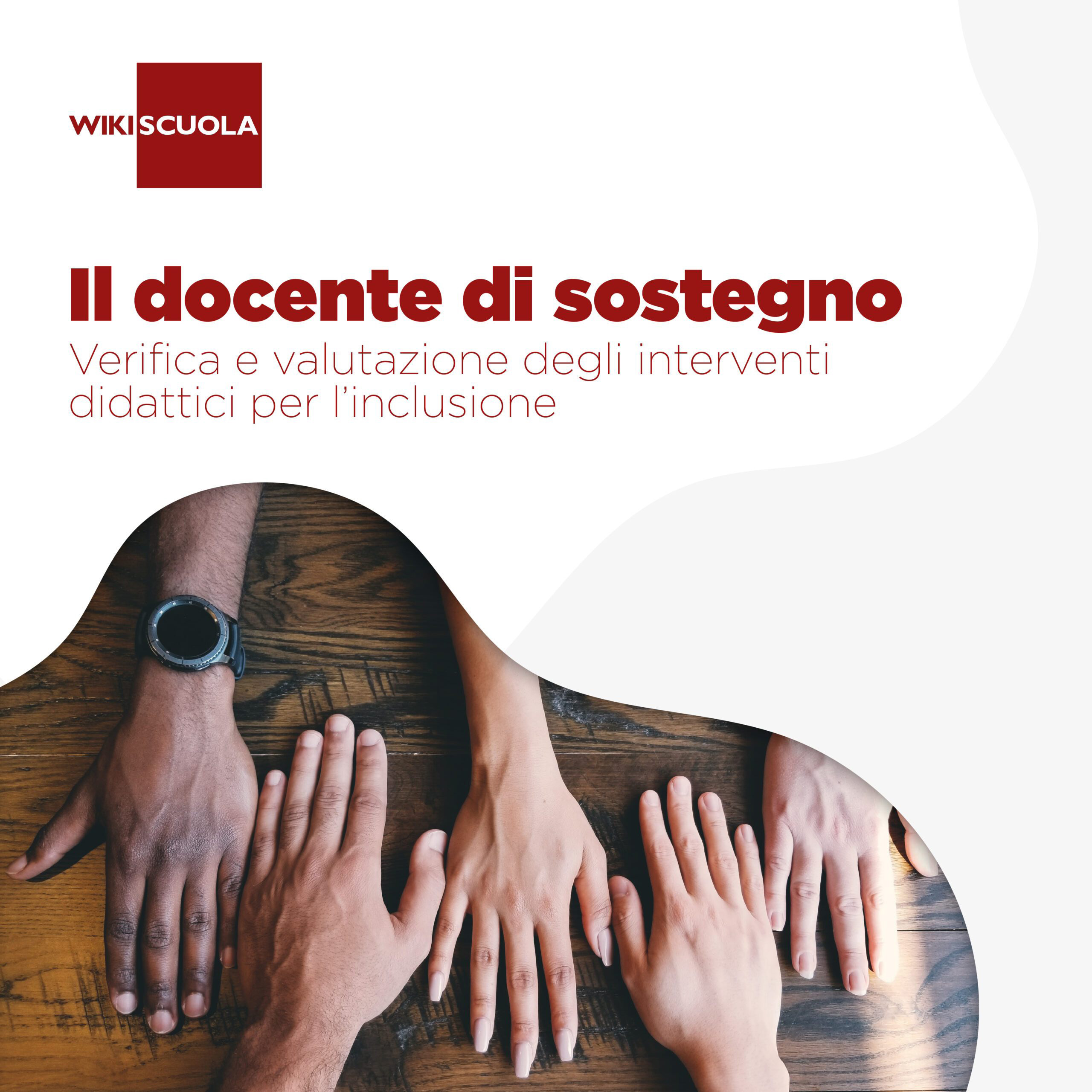 Il docente di sostegno: verifica e valutazione degli interventi didattici per l’inclusione (AS)